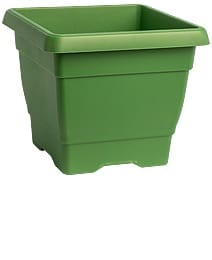 מיכל מרובע גלבוע 35/35 - ירוק יער מיכל מרובע גלבוע 35/35 - ירוק יער