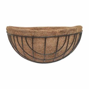 עציץ קוקוס תלוי לקיר אלמי מסגרת ברזל Almi Wall Coconut Planter עציץ קוקוס תלוי לקיר אלמי מסגרת ברזל Almi Wall Coconut Planter