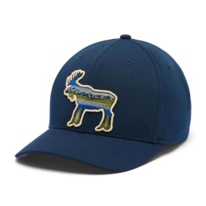 כובע מצחייה יוניסקס Columbia Lost Lager 3D Stretch Snap Back צבע אפור Flint Grey